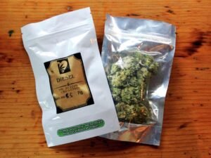 Kjøp Girl Scout Cookies Cannabis i Norge